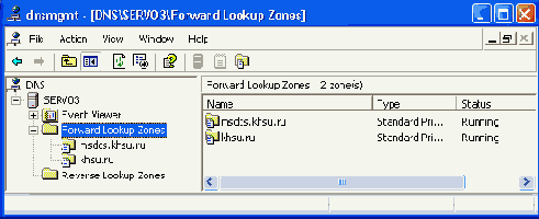     DNS