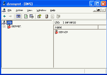   DNS