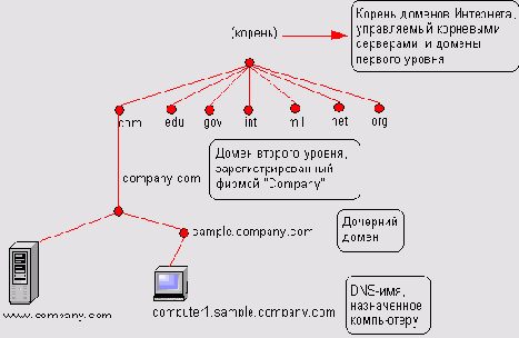 Пространство имен DNS